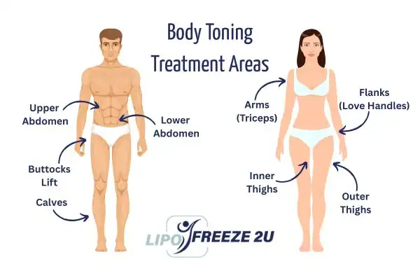 Graphic showing where you can have Body toning Treatment Christchurch on your body